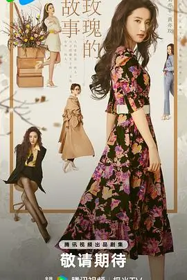 青瓦巷十七号热播电视剧全集在线观看