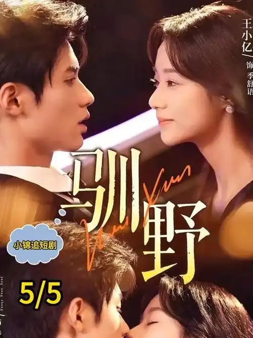 暗河之上热播电视剧全集免费在线观看
